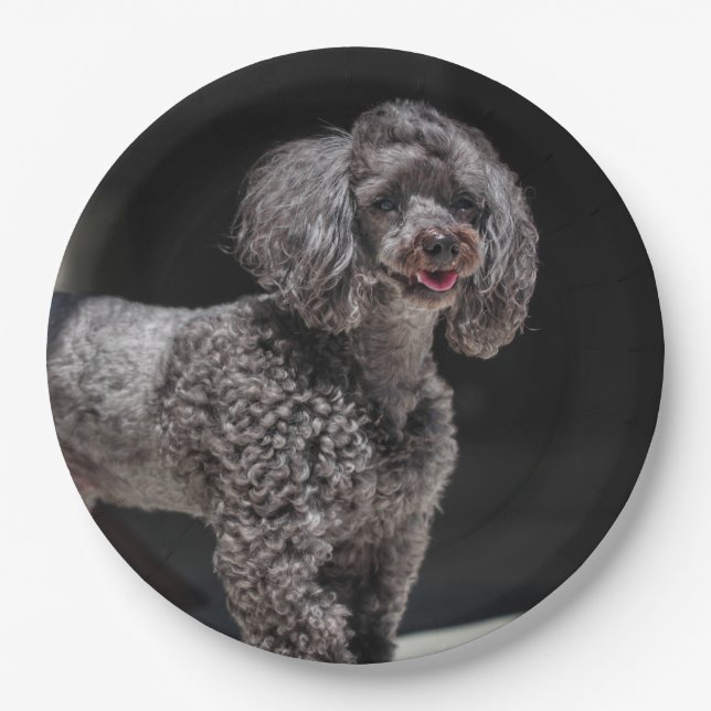 Cute Black Poodle Dog Head Smile Smiling Paper Plates (Front)