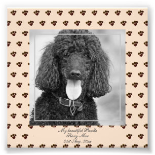 Cute Black Poodle Dogs PHOTO Named Keepsake Print