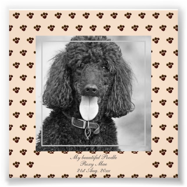 Cute Black Poodle Dogs PHOTO Named Keepsake Print (Front)