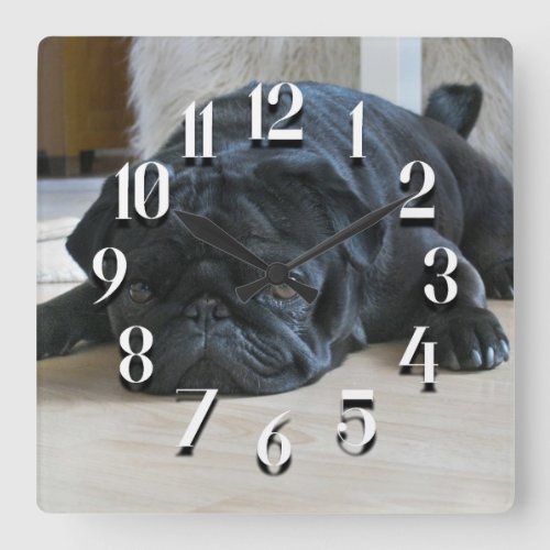 Cute Black Pug Puppy Wall Clock