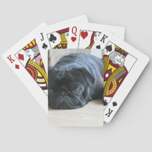 Cute Black Pug Sleeping Poker Cards