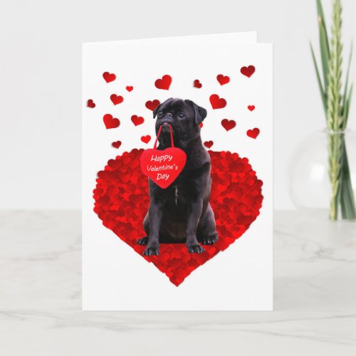 Cute Black Pug wishing Happy Valentines day Holiday Card
