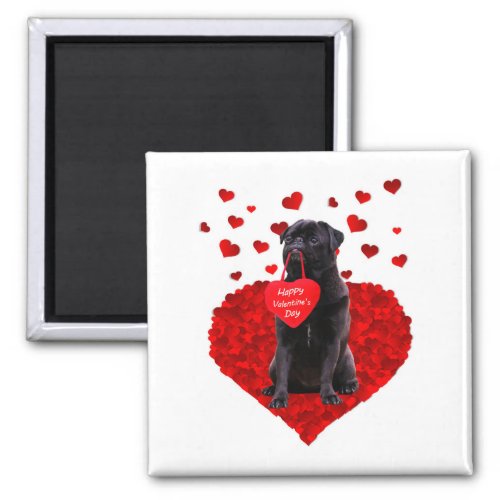 Cute Black Pug wishing Happy Valentines day Magnet