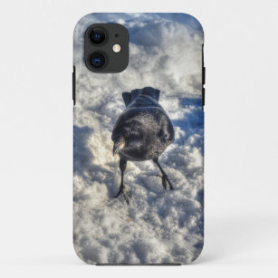 Cute Black Raven in the Snow Photo iPhone 11 Case