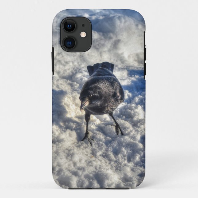 Cute Black Raven in the Snow Photo Case-Mate iPhone Case (Back)