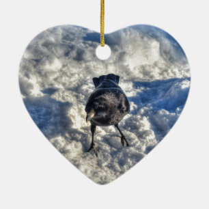 Cute Black Raven in the Snow Photo Ceramic Ornament