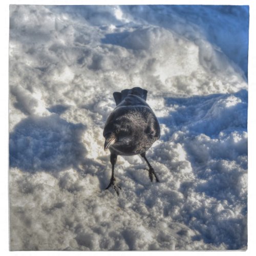 Cute Black Raven in the Snow Photo Cloth Napkin