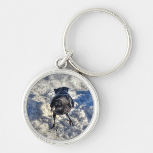 Cute Black Raven in the Snow Photo Keychain