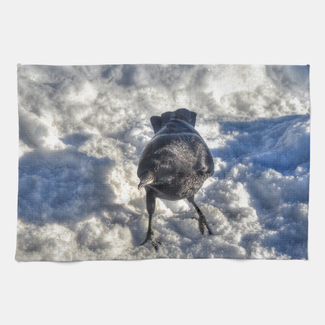 Cute Black Raven in the Snow Photo Kitchen Towel (Horizontal)