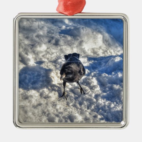 Cute Black Raven in the Snow Photo Metal Ornament