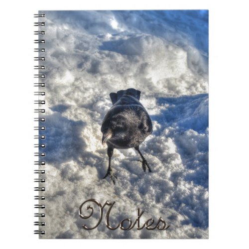 Cute Black Raven in the Snow Photo Notebook