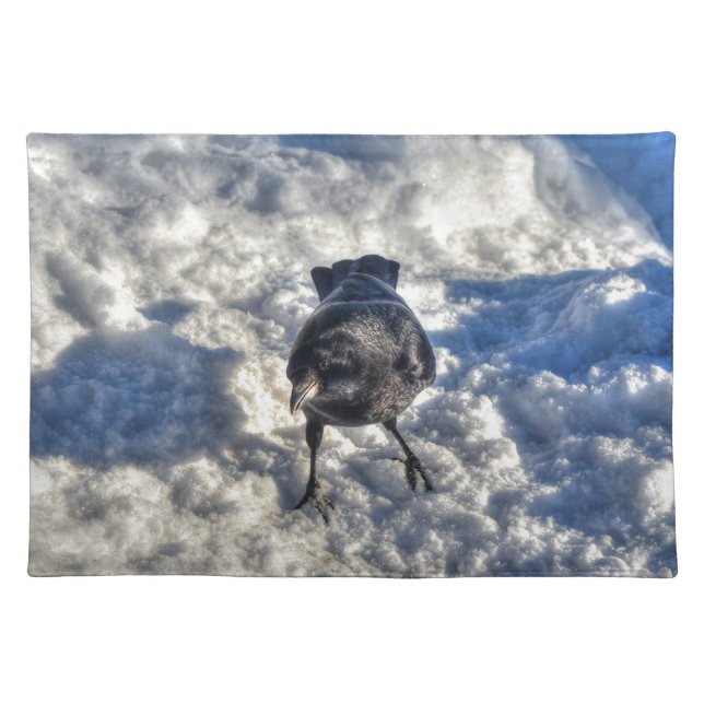 Cute Black Raven in the Snow Photo Placemat (Front)