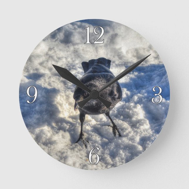 Cute Black Raven in the Snow Photo Round Clock (Front)