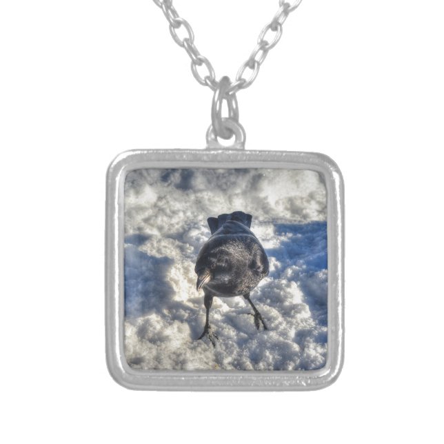 Cute Black Raven in the Snow Photo Silver Plated Necklace (Front)