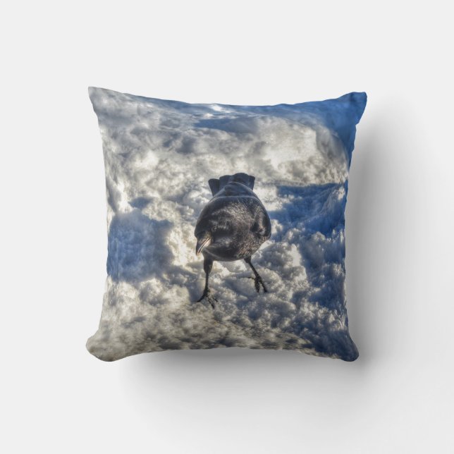 Cute Black Raven in the Snow Photo Throw Pillow (Front)