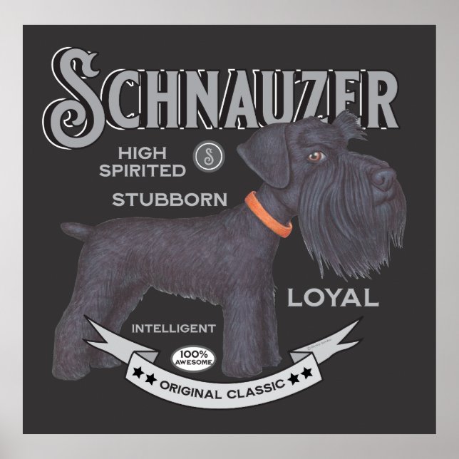 Cute Black Schnauzer  Poster (Front)