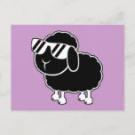 Cute Black Sheep Cartoon Postcard