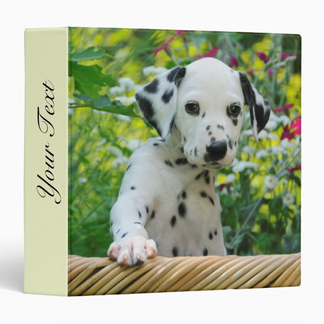 Cute black spotted Dalmatian Baby Dog Puppy Photo 3 Ring Binder (Front/Spine)