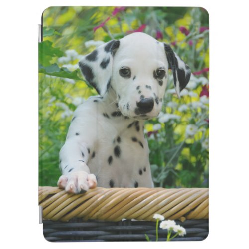 Cute black spotted Dalmatian Baby Dog Puppy Photo iPad Air Cover