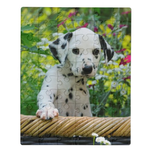 Cute black spotted Dalmatian Baby Dog Puppy Photo Jigsaw Puzzle