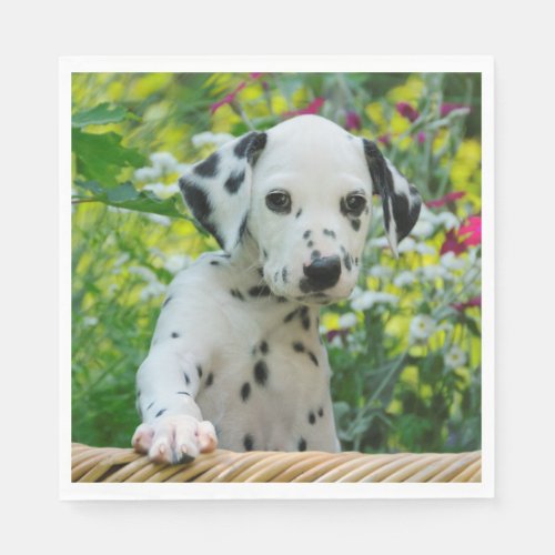 Cute black spotted Dalmatian Baby Dog Puppy Photo Napkins