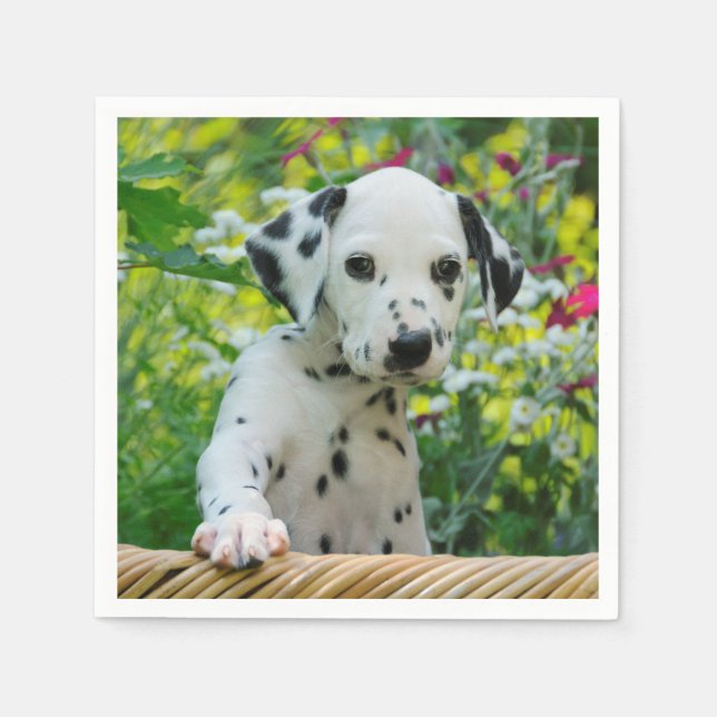 Cute black spotted Dalmatian Baby Dog Puppy Photo Paper Napkins (Front)