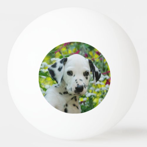 Cute black spotted Dalmatian Baby Dog Puppy Photo Ping Pong Ball