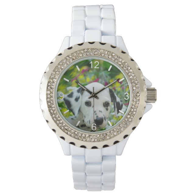 Cute black spotted Dalmatian Dog Puppy  dial-plate Watch (Front)