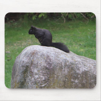 Cute Black Squirrel on a Rock Nature Squirrels Mouse Pad