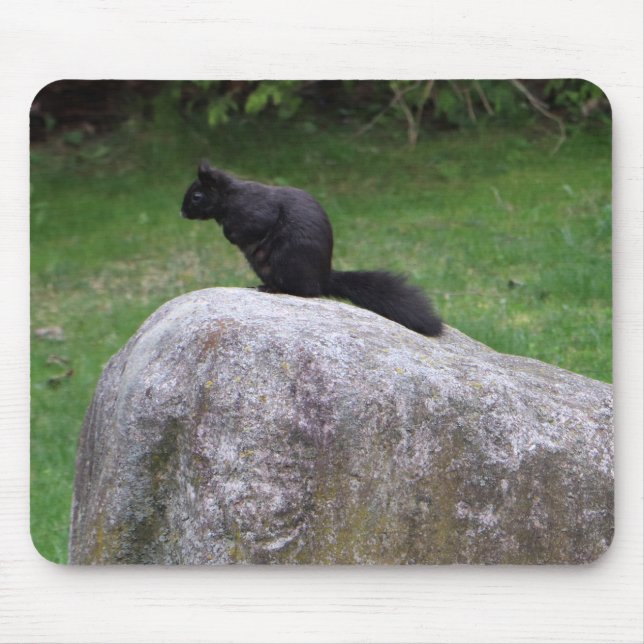 Cute Black Squirrel on a Rock Nature Squirrels     Mouse Pad (Front)