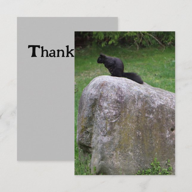 Cute Black Squirrel on a Rock Nature Squirrels     Thank You Card (Front/Back)