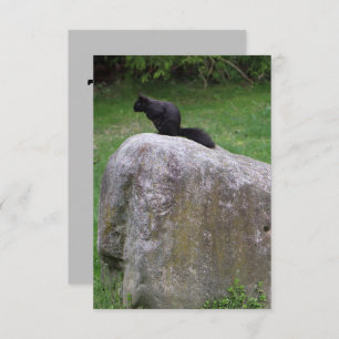 Cute Black Squirrel on a Rock Nature Squirrels Thank You Card
