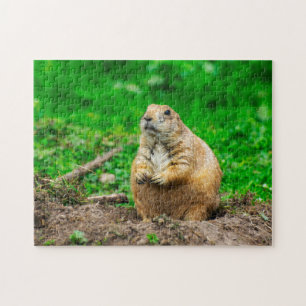 Cute Black-Tailed Prairie Dog Jigsaw puzzle