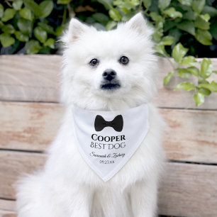 Cute Black Tie Best Dog Wedding Pet Bandana Collar