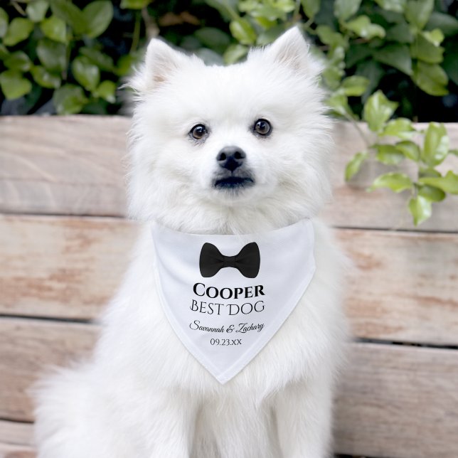 Cute Black Tie Best Dog Wedding Pet Bandana Collar (Dog)