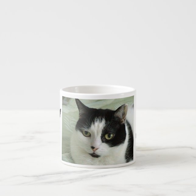 Cute Black & White Cat Personalized Espresso Cup (Front)