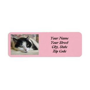 Cute Black White Cat Photo Pink Label
