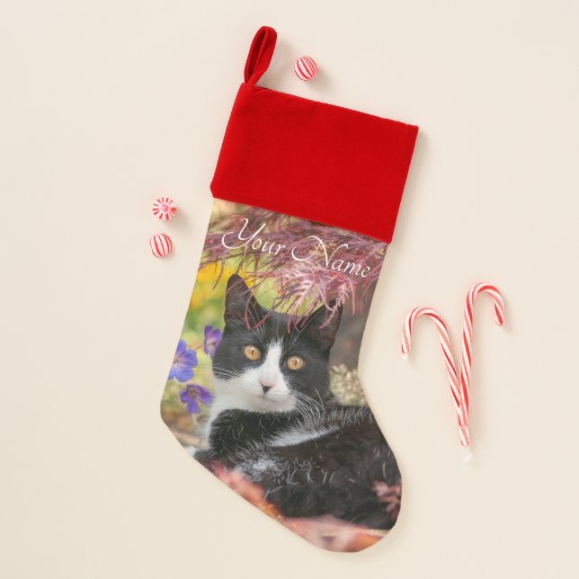 Cute Black-White Cat Resting under a Maple Tree -  Christmas Stocking (Front)