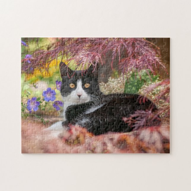 Cute Black-White Cat Resting under a Maple Tree - Jigsaw Puzzle (Horizontal)