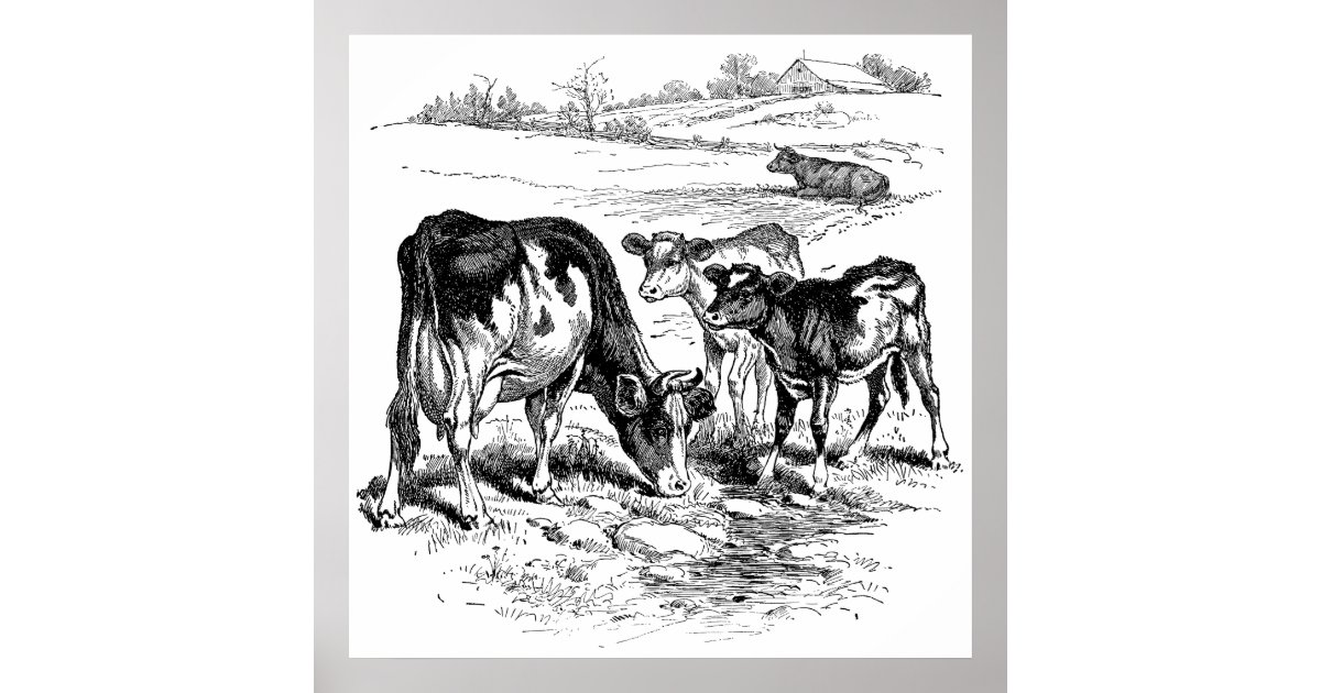 Cute Black White Farm Cows Decor Poster Vintage Zazzle Com,Girl Sitting Alone Animated Images