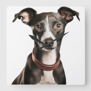 CUTE BLACK & WHITE ITALIAN GREYHOUND DOG SQUARE WALL CLOCK