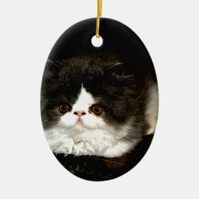 Cute black white kitten cat ceramic ornament (Front)