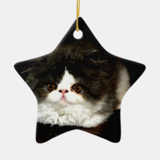 Cute black white kitten cat ceramic ornament (Front)