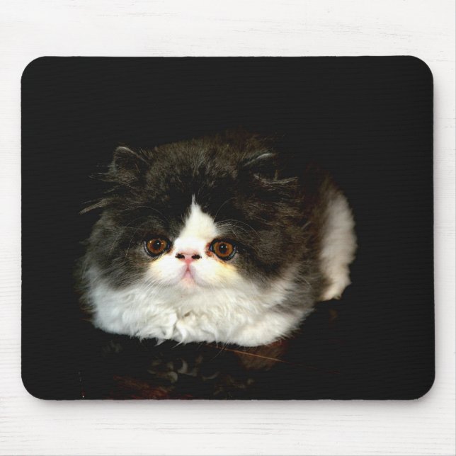 Cute black white kitten cat mouse pad (Front)