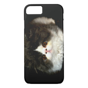 Cute black white kitten cat ragdoll photo iPhone 8/7 case