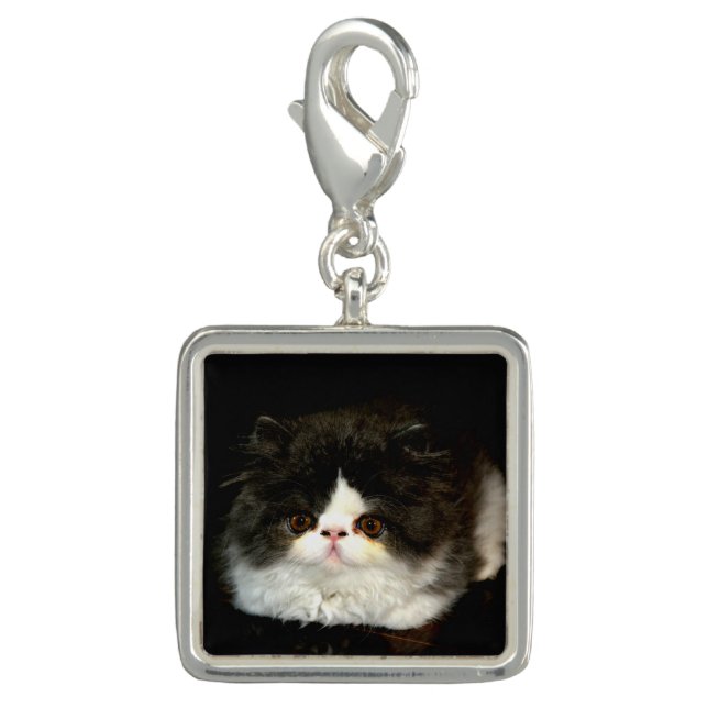 Cute black white kitten cat ragdoll photo charm (Front)