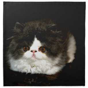 Cute black white kitten cat ragdoll photo cloth napkin