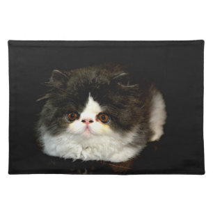 Cute black white kitten cat ragdoll photo cloth placemat