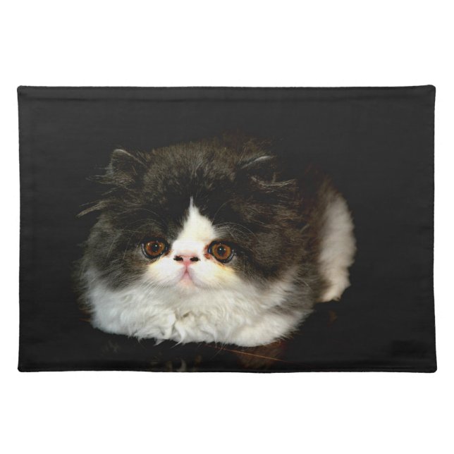 Cute black white kitten cat ragdoll photo cloth placemat (Front)
