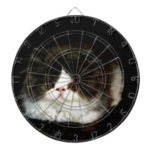 Cute black white kitten cat ragdoll photo dart board